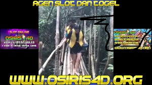 2D Togel